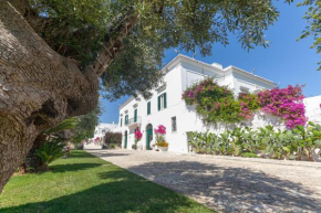 Masseria San Nicola Savelletri - B&B Fasano